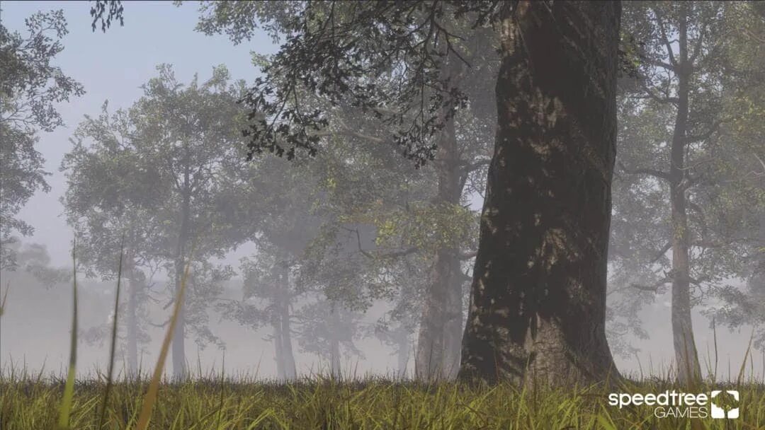 Missing asset. SPEEDTREE Pine. Текстуры для SPEEDTREE. Библиотека SPEEDTREE. SPEEDTREE mpdeling Rose.