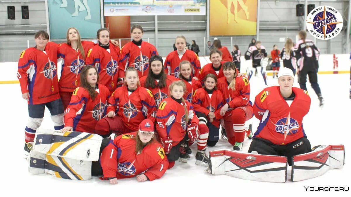 Кхл жхл. Женская хоккейная команда. Детский женский хоккей. Хоккейная команда Гарварда. Женская хоккейная команда Москва 2008.