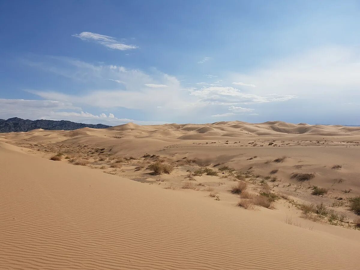 Гоби это пустыня. Равнина Гоби. Пустыня Гоби. Монголия Гоби. Монгольская пустыня Гоби.