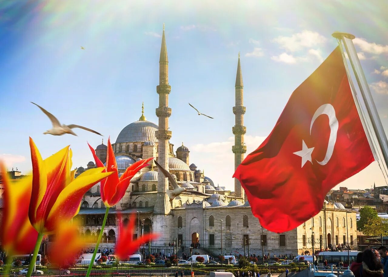 2 2 4 turkey. Турция Султанахмет флаг. Голубая мечеть в Стамбуле тюльпаны. Анкара (турецкая Республика).