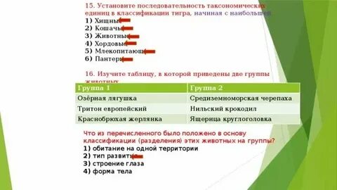 Соподчинение таксонов начиная с наибольшего