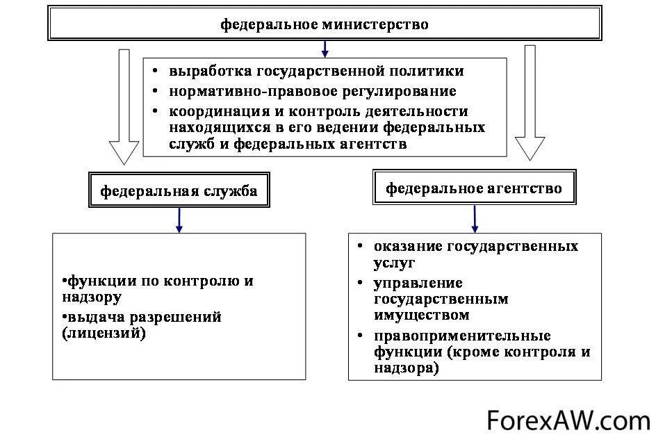 Функции Министерства службы и агентства. Федеральные Министерства службы и агентства. Министерства службы и агентства различия. Различия между министерствами службами и агентствами.