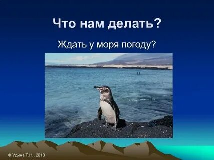 Долго ждать у моря погоды