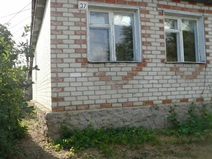 Рудня волгоградская объявление