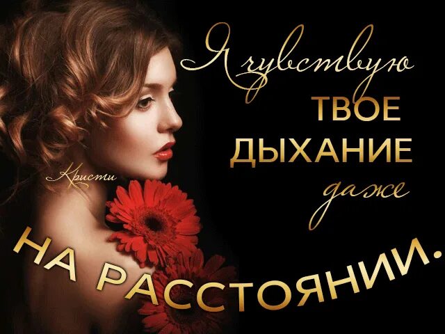 И каждый твой выдох. И каждый твой выдох. Ещё одной темной ночью. Каждый твой вдох и каждый твой выдох. Ещё одной темной ночью.