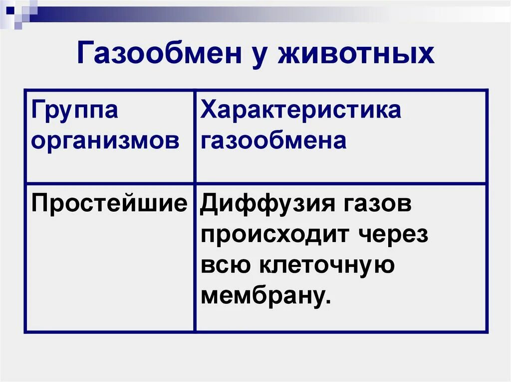 У млекопитающих газообмен происходит в. Газообмен у животных. органы газообмена у растений и животных. органы газообмена у животных. органы дыхания и газообмен у животных.