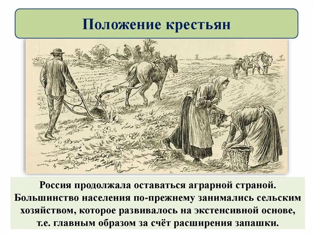 Какие утверждения верны не все крестьяне. Сельское хозяйство при Петре 1. Положение крестьян. Полржкние кретьянмтвп. Положение крестьян при Петре 1.