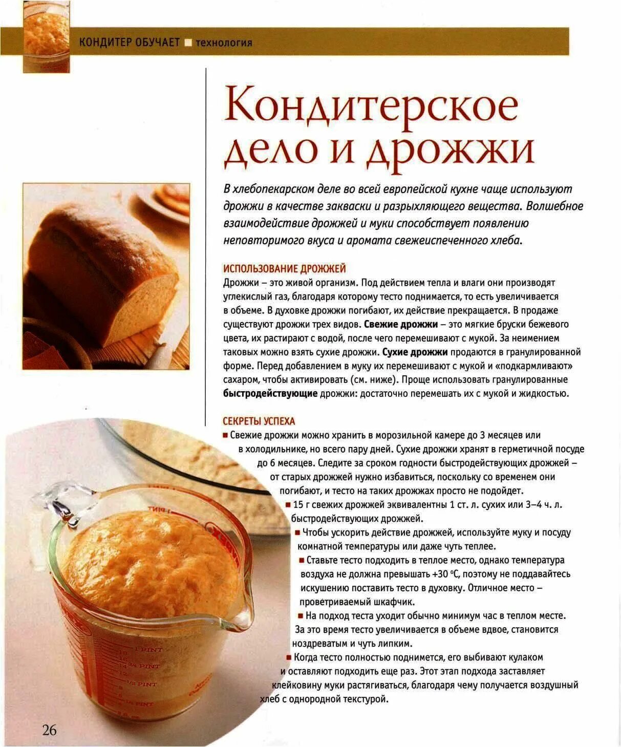 Сколько дрожжей класть. Сколько грамм дрожжей на 1 кг муки. сколько нужно свежих дрожжей на 1 кг муки. сколько надо живых дрожжей на 1 кг муки. сколькоинужно доожей на 1кг муки.