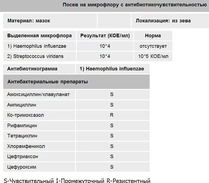 Haemophilus в мазке у мужчин. Haemophilus influenzae чувствительность к антибиотикам. Микрофлора Haemophilus influenzae. Результат посева на микрофлору с антибиотикочувствительностью. Антибиотикограмма koe.