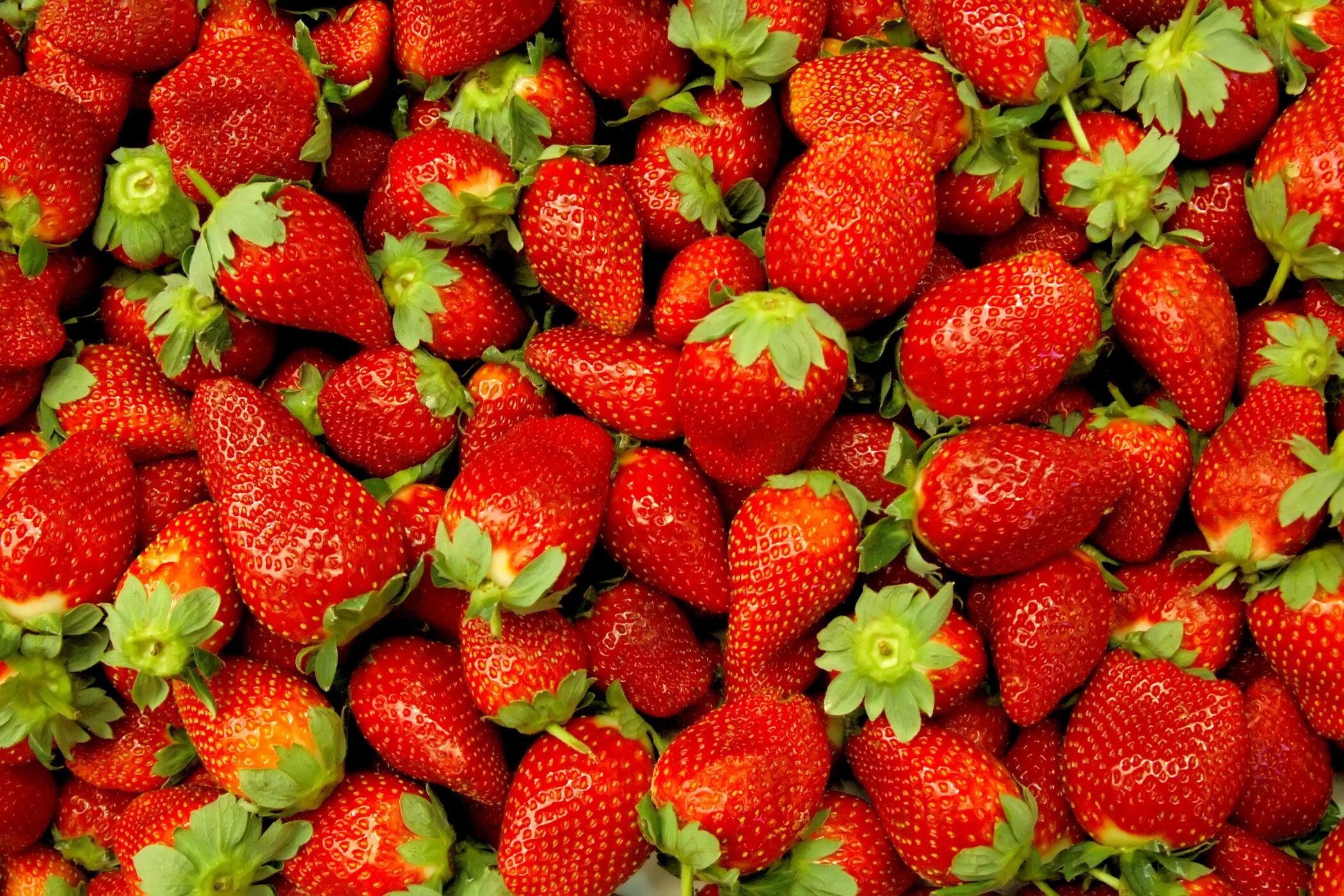 Земляника ягодка. Клубника сверху. Земляника ягодка. Земляника ягодка. Клубника растение.