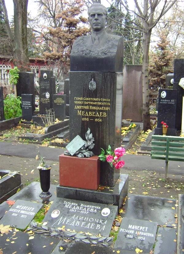 Дмитрию николаевичу медведеву. Дмитрию николаевичу медведеву