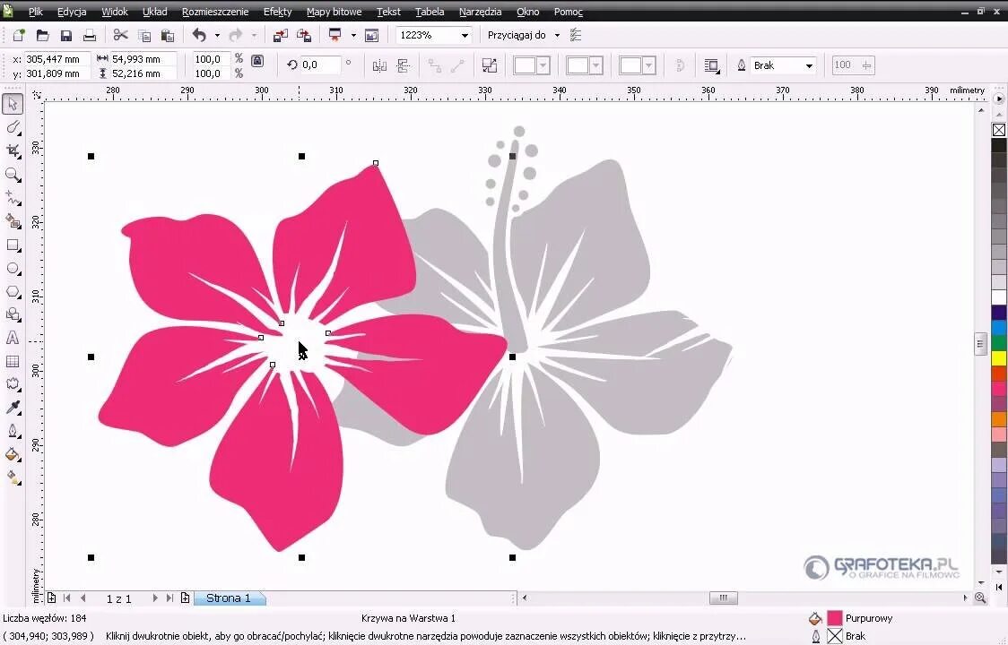 Coreldraw векторы. Изображения в coreldraw. Картинки в кореле. Рисование в coreldraw. Coreldraw рисунки.