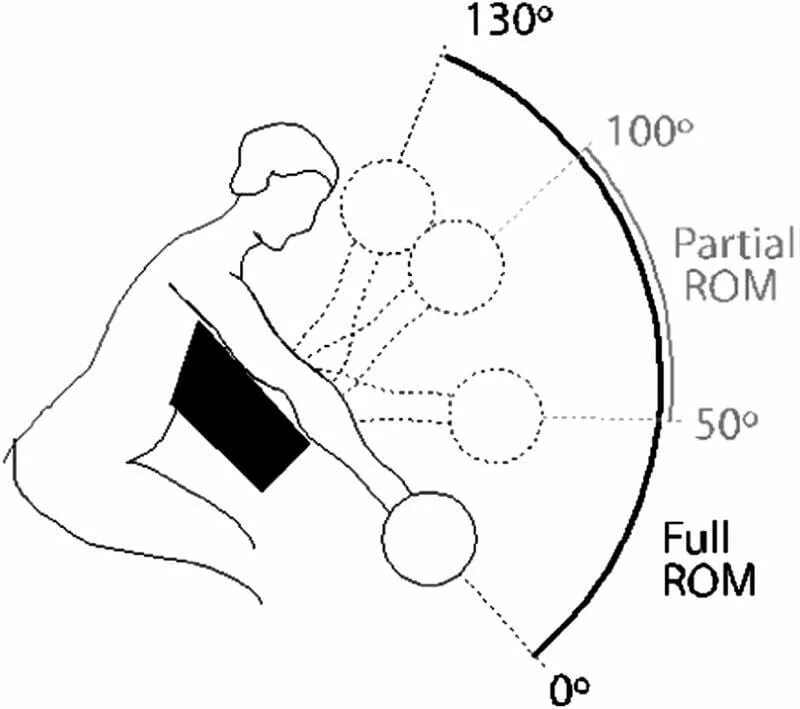 Full rom. Частичная амплитуда в упражнениях. Частичная амплитуда на бицепс. Упражнения на амплитуду движений. Полная амплитуда или частичная.