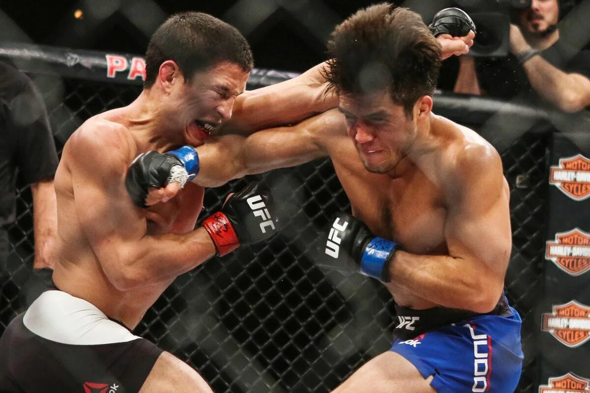 Has always making picking fights. Has always making picking fights