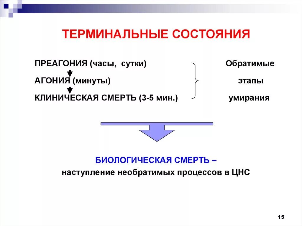 Периоды терминального состояния таблица. Терминальные состояния. Стадии терминального состояния. Стадии терминальных состояний их проявления.