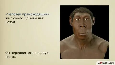 Видеоурок по истории древнейшие люди