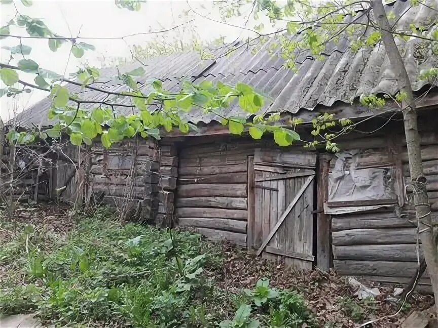 Д.Вязовск,Дубровский район. Вязовск Брянская область деревня. Дубровский район Брянской области деревня Вязовск. Кожемяки деревня