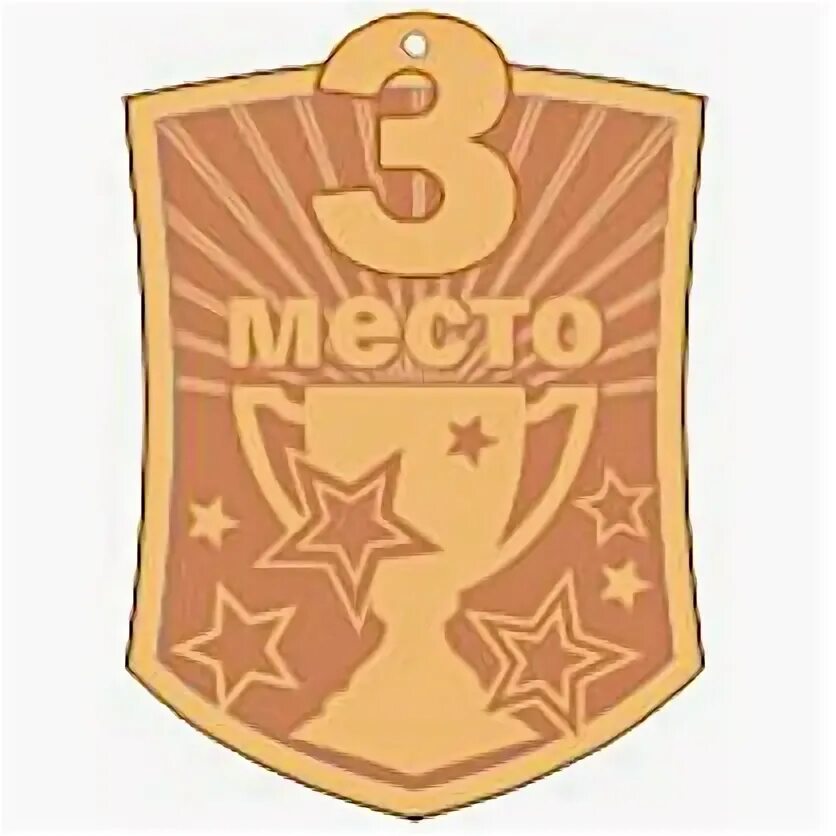 133 70. Медаль 133-70.