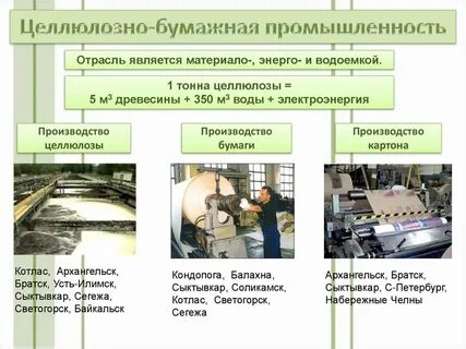 Центр производства бумаги и целлюлозы