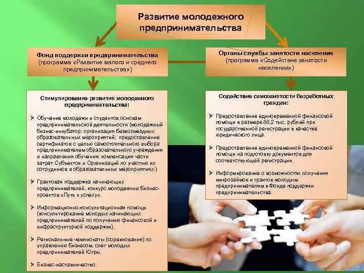 Программы развития молодежи. Развитие молодежного предпринимательства. Поддержка и содействие предпринимательской деятельности молодежи. Консультационная поддержка молодежного предпринимательства. Предпринимательская деятельность фонда.