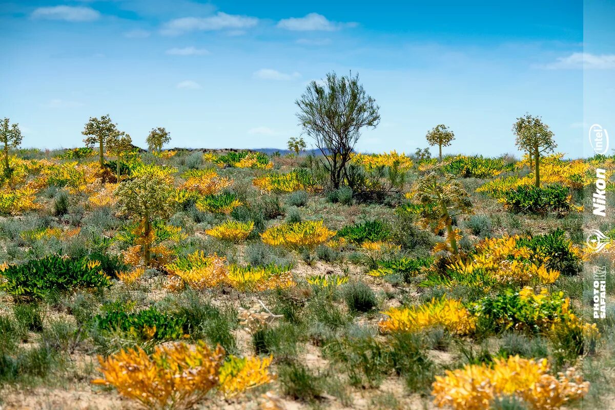 пустыни и полупустыни кыргызстана. пустыня нью мексико. полупустыни калмыкии. зоны пустыни-полупустыни в евразии. климат полупустынь казахстана.
