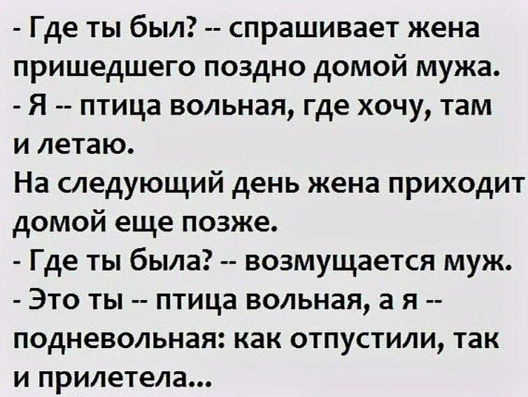 Птица Вольная анекдот. Анекдот про птицу вольную. Анекдот птицы улетели. Анекдот про хитрого мужа.