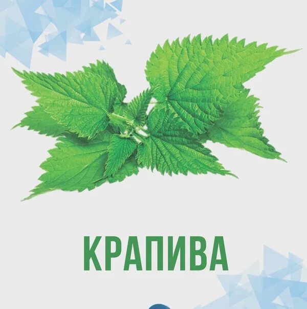 Витамины в крапиве