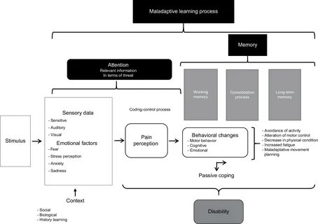 Pip process