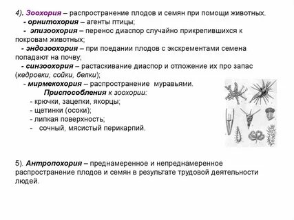 Распространение семян птицами фактор