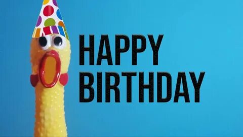 Happy chicken