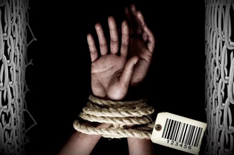 Эксплуатация торговли людей. Торговля людьми вербовка. Торговля людьми мужчины и женщины. Торговля людьми использование рабского труда.