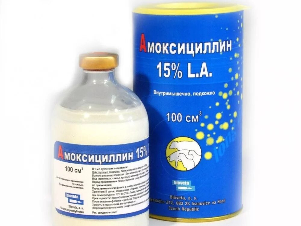 Амоксициллин для животных. Амоксициллин 15% 100 мл биовета. амоксициллин 15% la 100мл (bioveta)*. амоксициллин 15 ветеринарный. ветеринарный антибиотик амоксициллин.