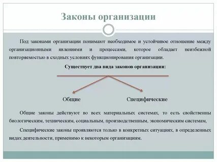 Закон социальный сайт