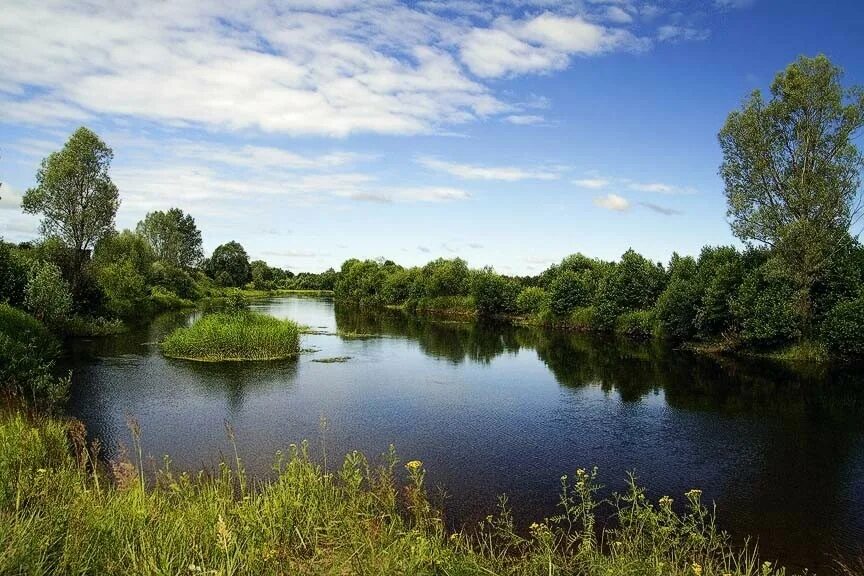 Вачский район река Сережа. Речка Сережа в Нижегородской области.