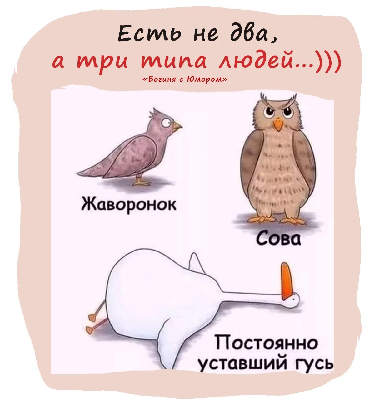 А две можно а три. Есть даже не два а три типа людей картинки. человек сова. сова жаворонок и третий тип людей.
