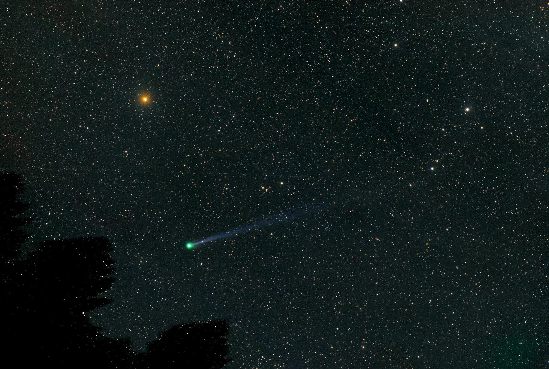 Комета будет видна. Комета Макнота (c/2006 p1). Астрономы наблюдают комету. Астрономический символ кометы. Комета 2009 фото.
