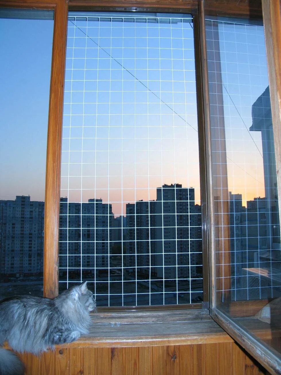 Сетка на окно для кошек антикошка купить. Антикошка на окна. Сетка антикошка. Антимоскитная сетка антикошка. Сетки антикошка Pet Screen.