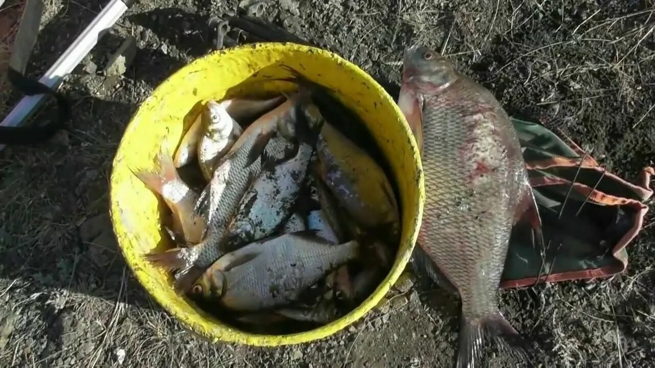 Сакмарское водохранилище в башкирии. Сакмарское водохранилище рыбалка. Юшатырское водохранилище. Юшатырское водохранилище рыбалка. Щёкинское водохранилище рыбалка.