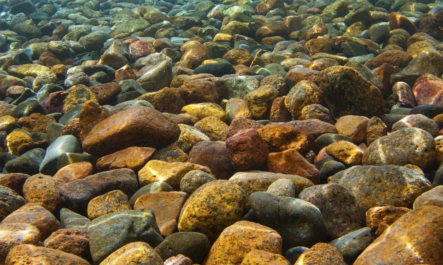 5 подводных камней. Морское дно камни. Камни на морском дне. Камни на дне моря. Камни на дне океана.