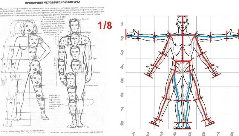 Сколько голов в взрослом человеке. Пропорции тела человека для скульптуры. Пропорции тела человека для лепки. Пропорции тела человека в полный рост.схема. Пропорции человека для лепки.