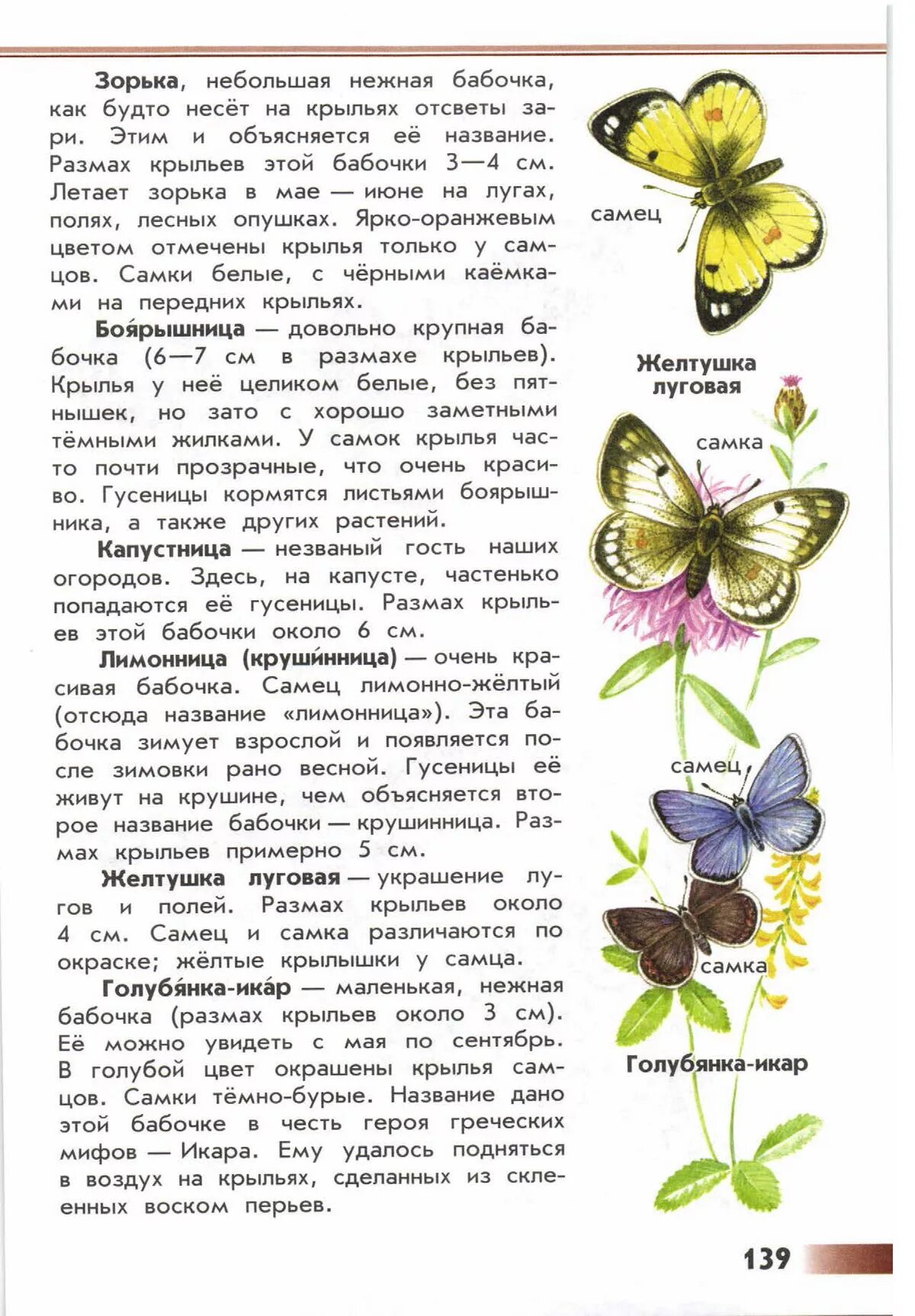 Дневные бабочки 2 класс атлас определитель. Атлас определитель Плешаков бабочки. Атлас-определитель 2 класс окружающий мир насекомые бабочки. Атлас определитель дневные бабочки.