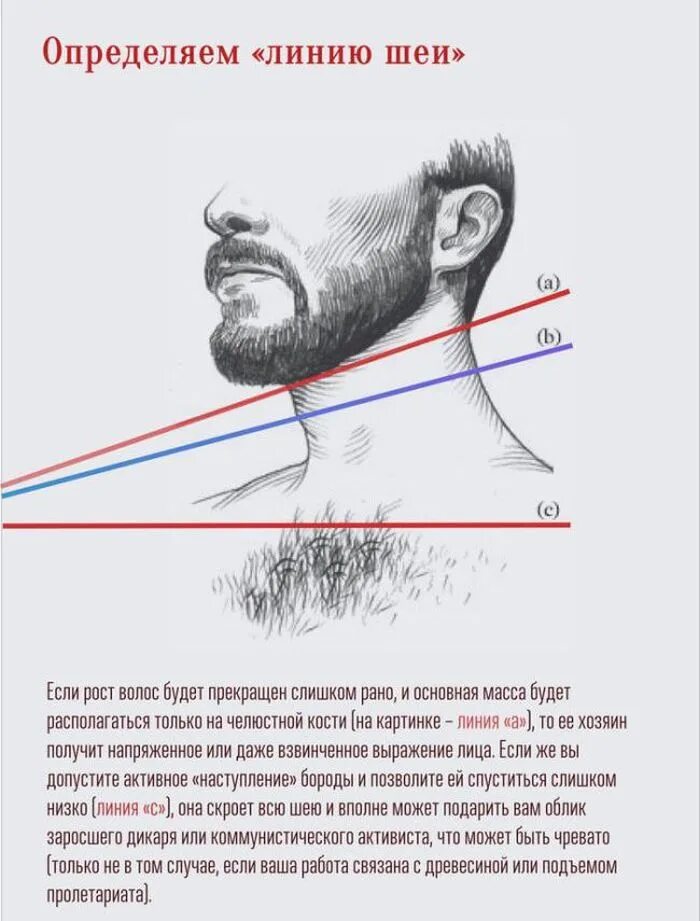 Брить по росту. Схема стрижки бороды. Линия бороды на шее. Правильная форма бороды на шее. Правильная форма бороды схема.