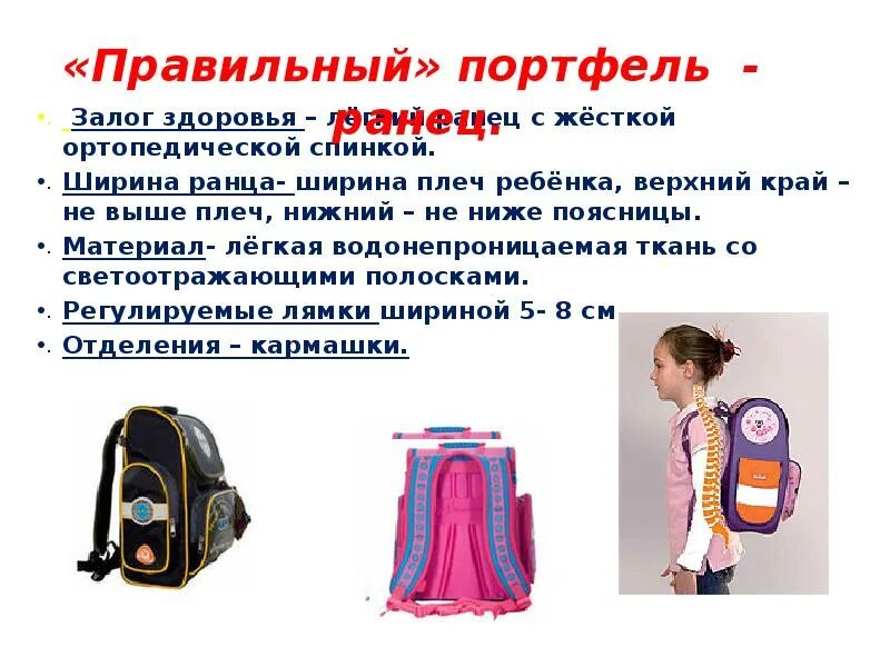 Информационный портфель. Правильный портфель. проект тайна школьного портфеля. секреты школьного портфеля. спинка ранца.