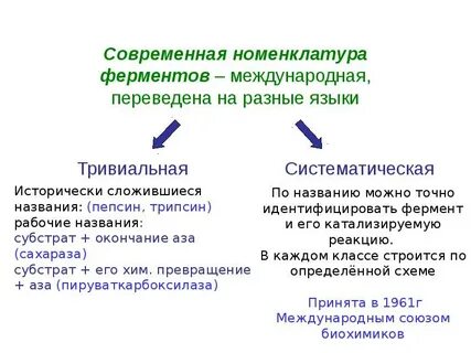 Систематическая номенклатура ферментов