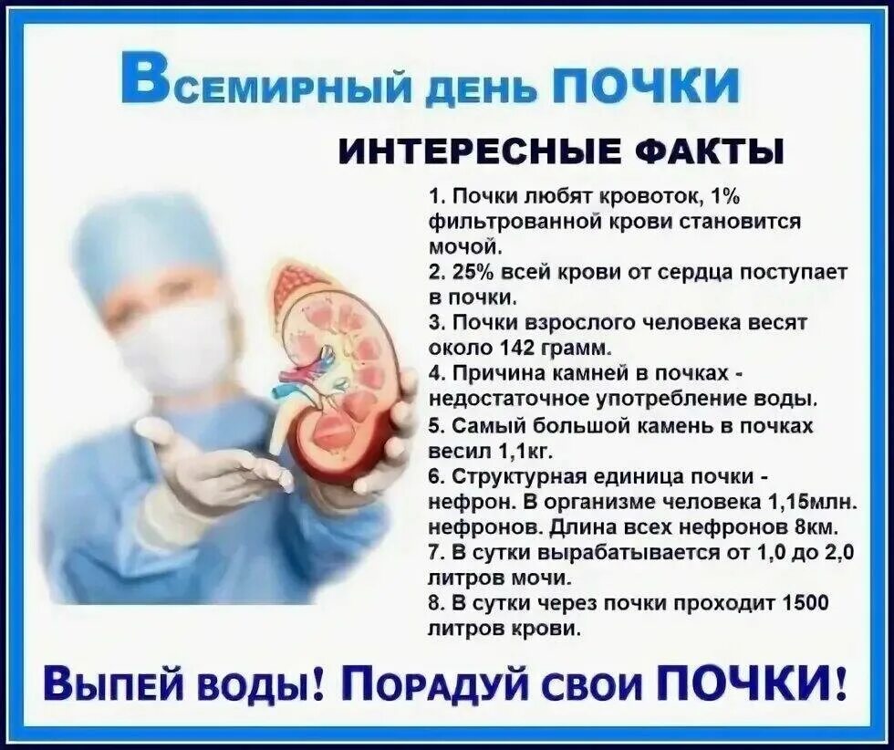 9 03 2023. Всемирный день почки. День почки 2022. Всемирный день почки памятка.