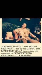 Нам до собак еще расти чтоб вровень