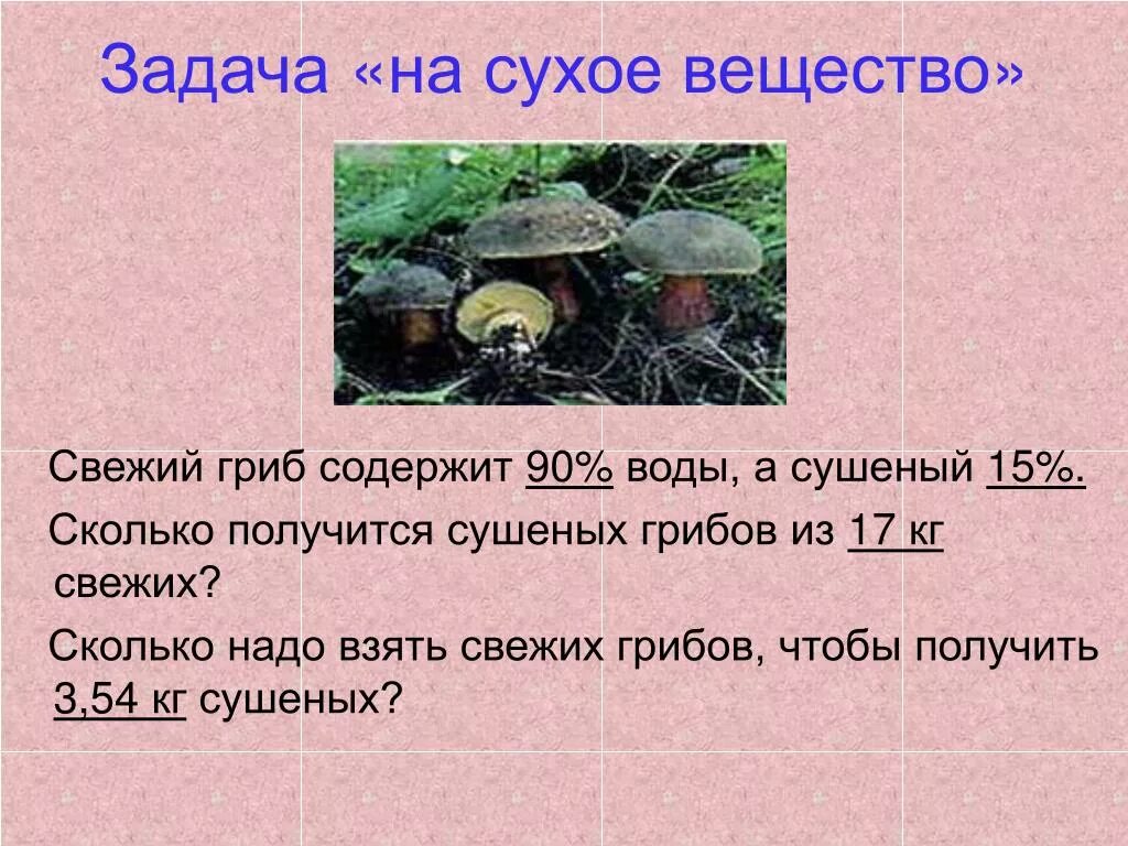 Вода после грибов. Задача про грибы. Задачи на сухое вещество. Задача про сушеные грибы. Задача про сухие и свежие грибы.