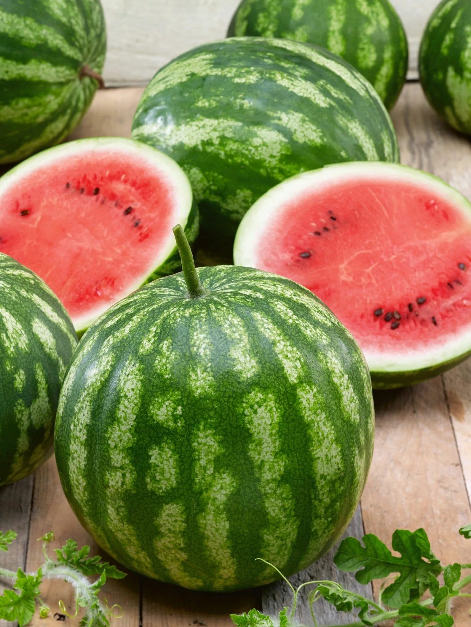 Самый большой арбуз в мире 122 кг. Giant watermelon 'iwanaga giant' f1 seeds. Арбуз. Спелость арбуза. Сладкий арбуз.