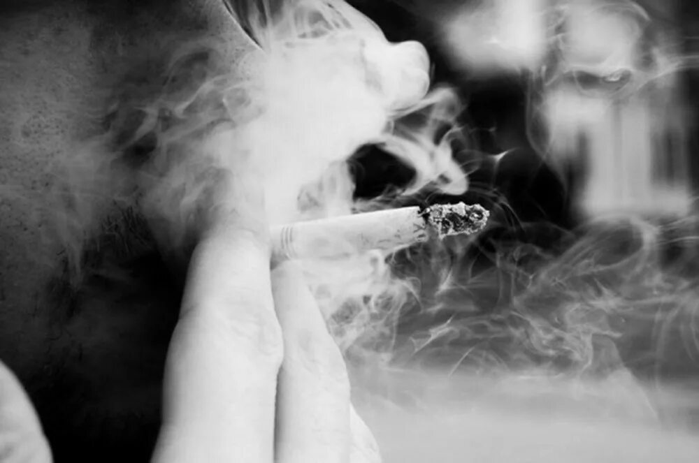 Я тебя сквозь дым не вижу. Дым сигарет. Сигаретный дым. Догорающая сигарета. Сигаретный дым фото.