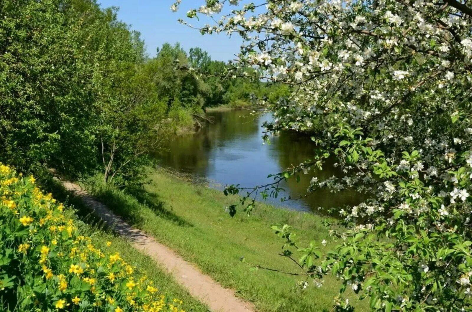 Май фото природы. Май природа. Природа в мае. Май природа река.